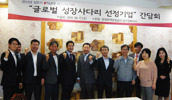 대구경북지사, 2015년 상반기 글로벌 성장사다리 간담회 개최(6.17) 이미지