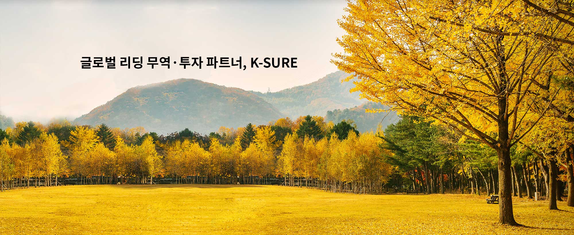 글로벌 리딩 무역·투자 파트너,K-SURE(단풍)